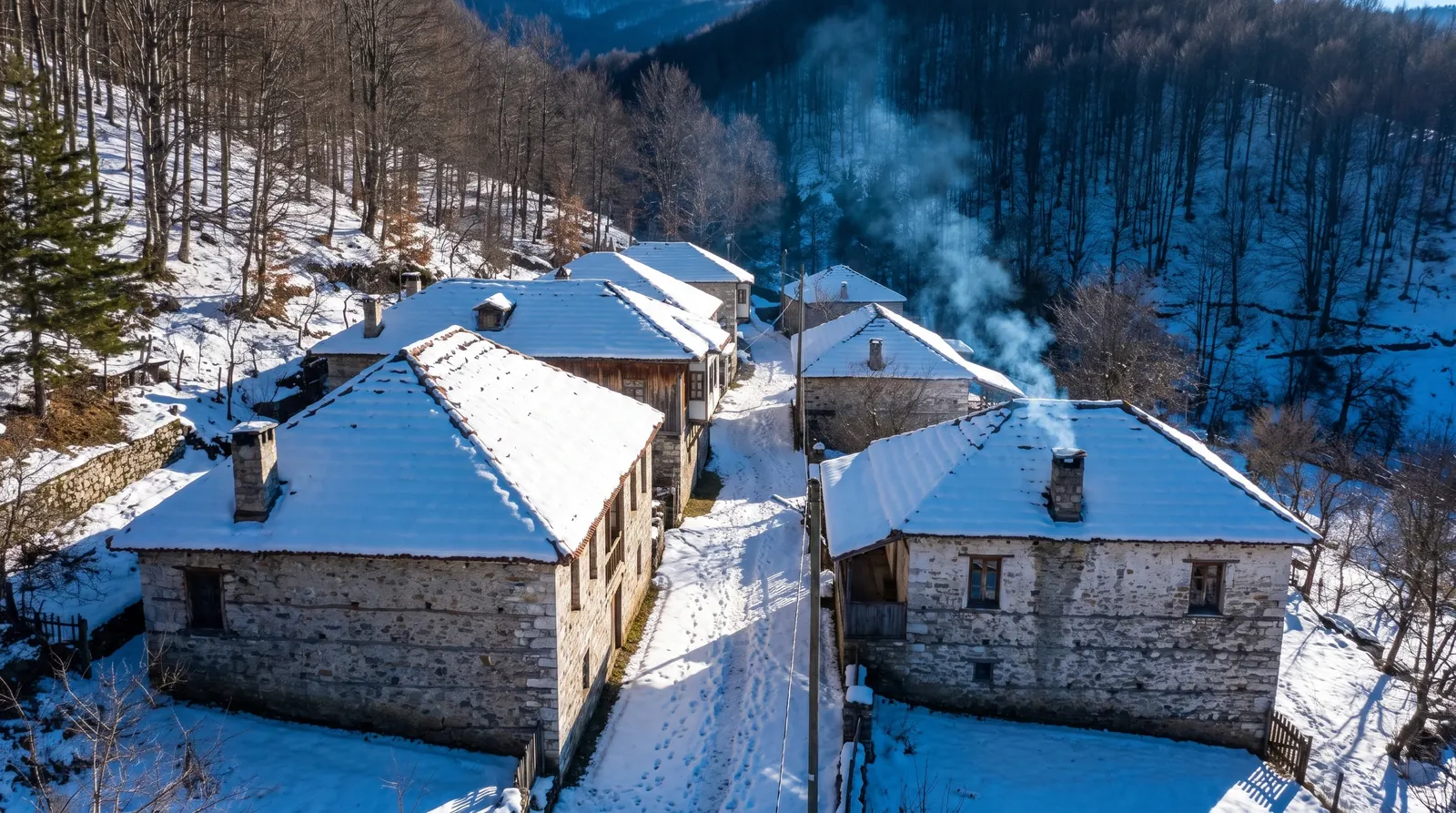 Snow-covered rooftops of Dardhe with chimney smoke against bare beech woods