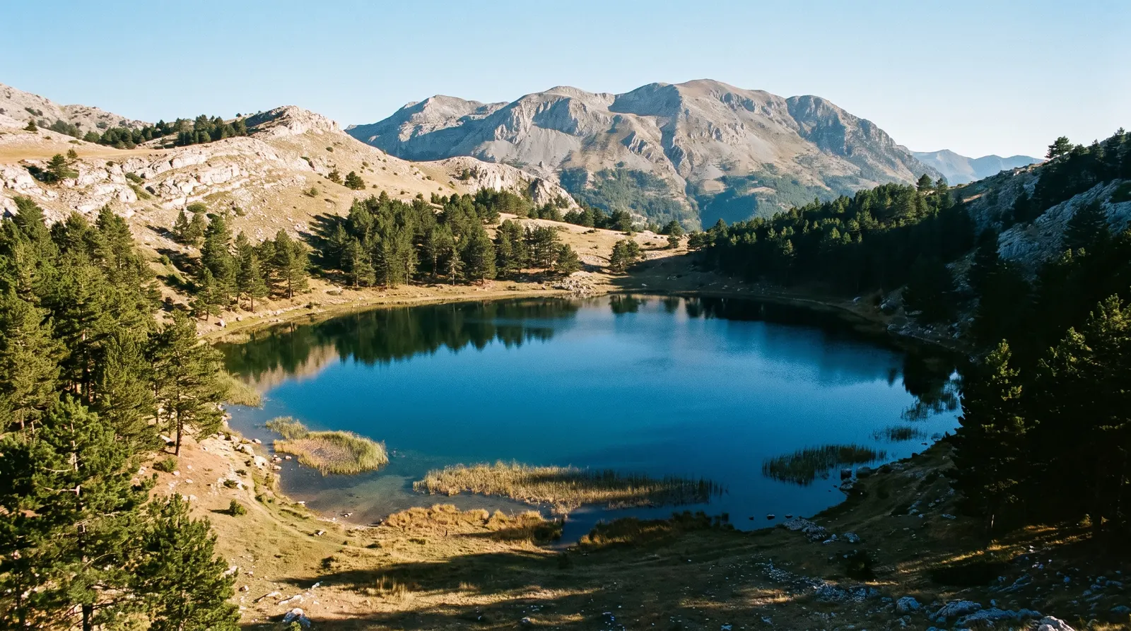 One of the small glacial lakes of the Lura plateau, held close by black pine