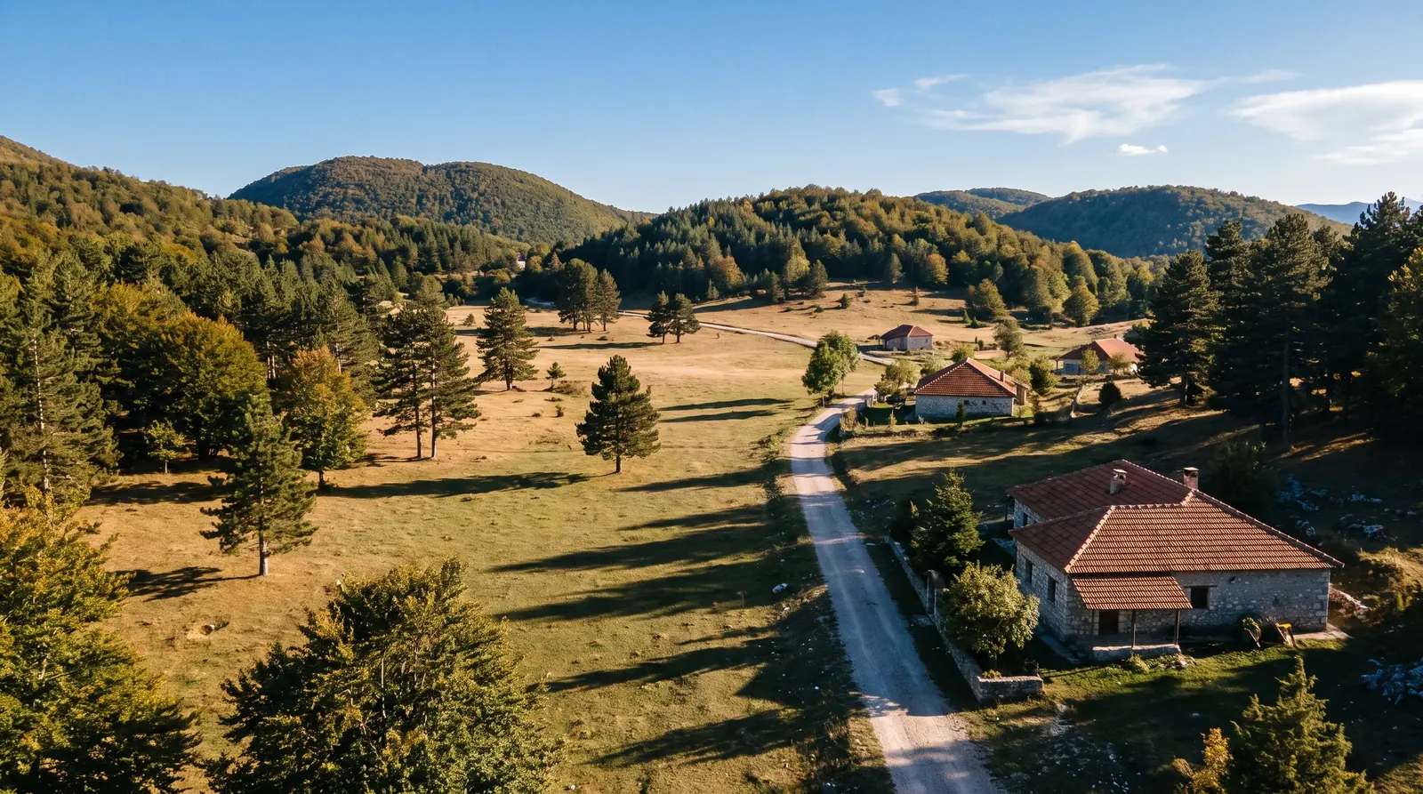 The wooded plateau at Razem, rounded green ridges rather than bare rock